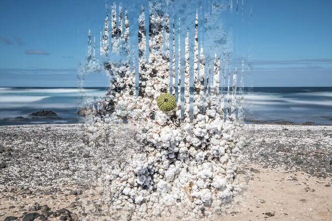 Fuerteventura: The Panoramic Experience. ALL historic highlights. - FAQs