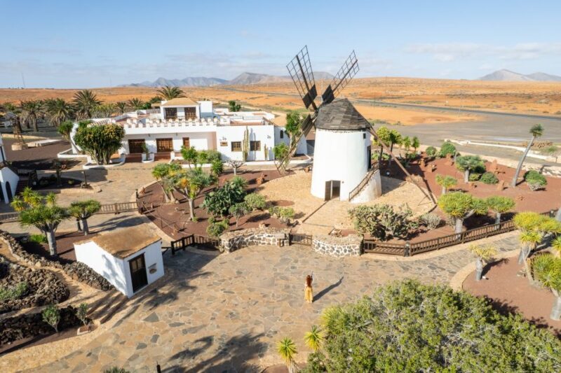 Fuerteventura: Tickets to Salt, Cheese and Windmill Museums - A Closer Look at the Experience