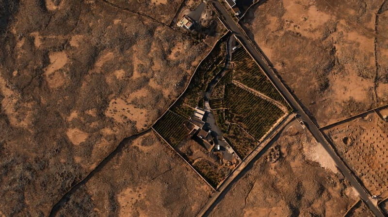 Fuerteventura: Tour & tasting at Conatvs Winery - FAQ