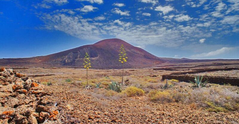 Fuerteventura: Trekking Tour Through the North of the Island - Exploring Fuerteventura’s Unique Landscapes