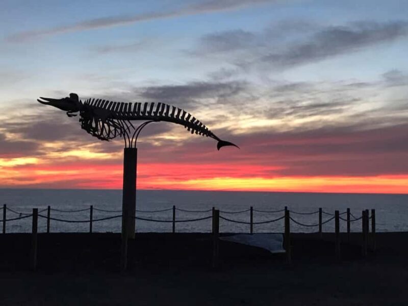 Fuerteventura: Wine Tasting and El Cotillo Afternoon Escape - Who Would Enjoy This Tour?