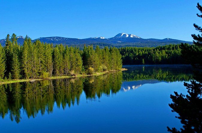 Full-Day 4-Seater Can-Am Commander Max UTV Rental - The Experience – What You Might Love or Find Challenging