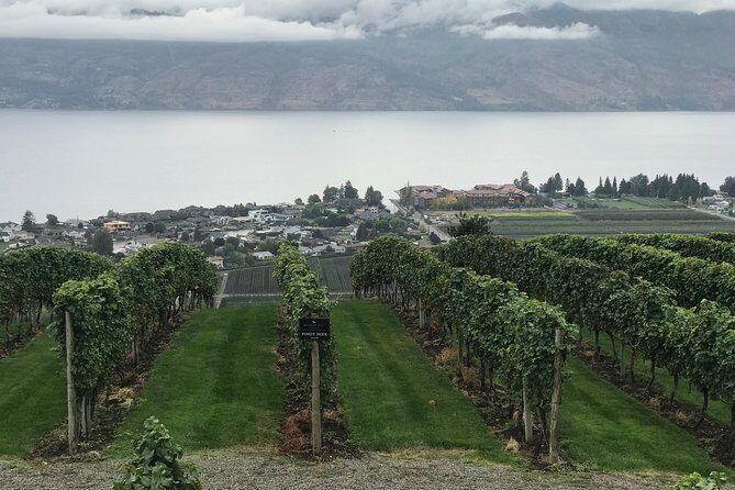 Full Day 4 Wineries Mission Hill & Quails Gate With Lunch Stop* - A Deep Dive into the Itinerary