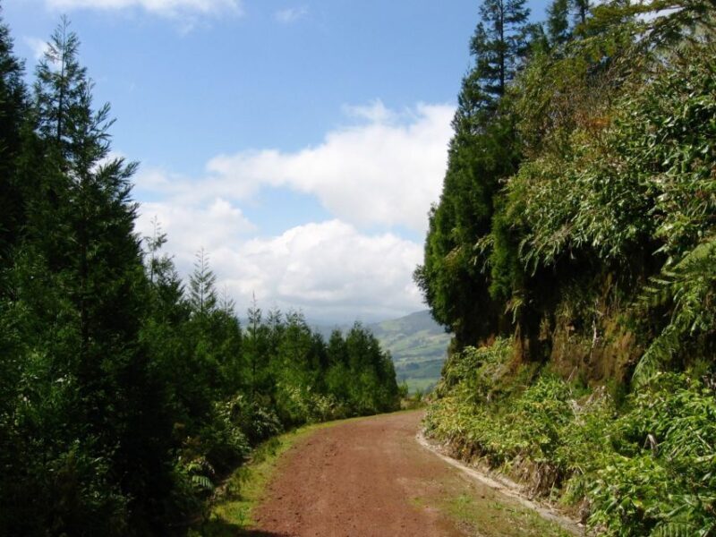 Full-Day 4x4 Nordeste Azores Tour from Ponta Delgada - Key Points