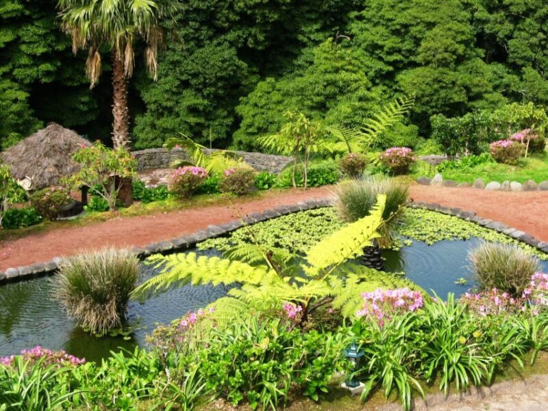 Full-Day 4x4 Nordeste Azores Tour from Ponta Delgada - Food, Flexibility, and Value