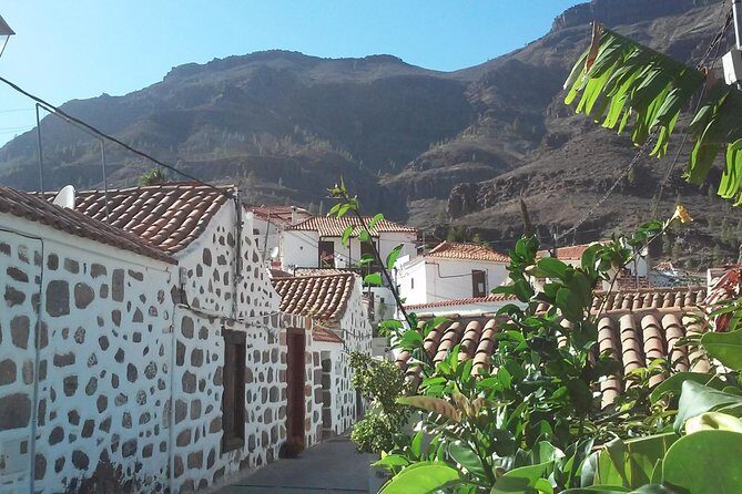 Full Day Across the Island Tour from Las Palmas - Price and Value
