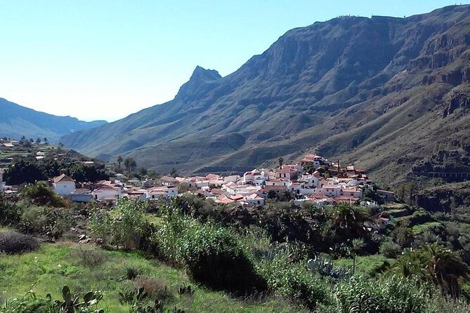 Full Day Across the Island Tour from Las Palmas - Who is This Tour Best For?