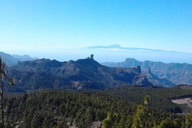 Full Day Across the Island Tour from Las Palmas - FAQ