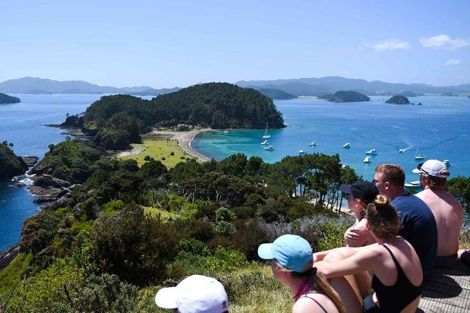 Full-Day Adventure Cruise with Lunch in Bay of Islands - What Could Be Better?