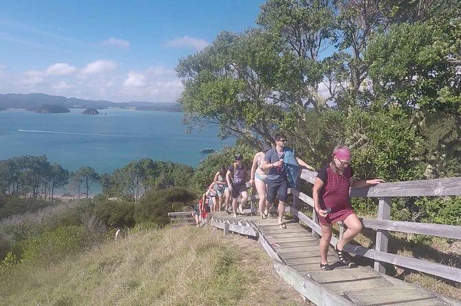 Full-Day Adventure Cruise with Lunch in Bay of Islands - Is It Worth the Price?