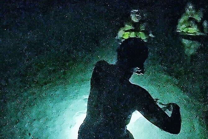 Full Day Adventure: Horses , ATV, Ziplines & Cenote w/Lunch - Who Is This Tour Best For?