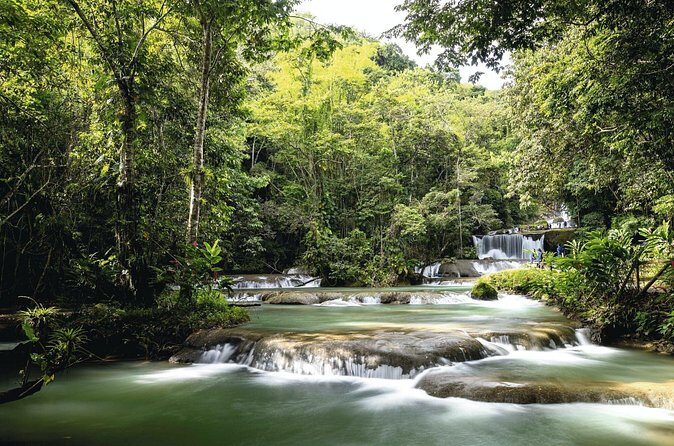 Full-Day Appleton Rum, YS Falls and Pelican Bar Private Tour - Honest Feedback from Travelers