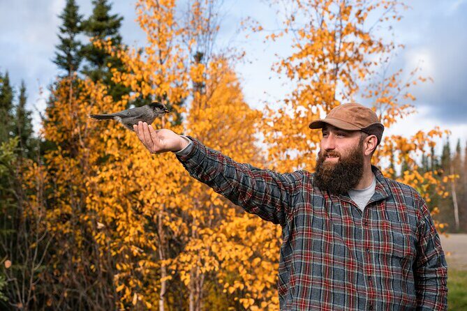 Full Day Arctic Circle Experience with Lunch - Key Points