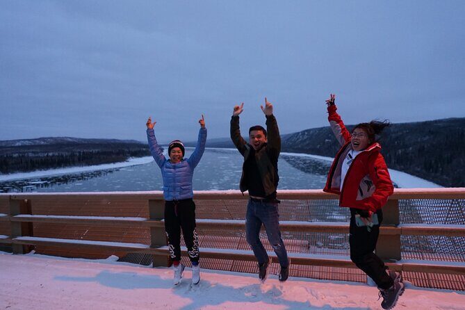 Full Day Arctic Circle Tour - Who Would Love This Tour?