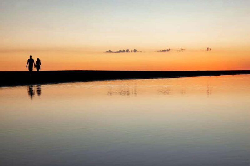 Full-day Auckland City & Rainforest Private Tour by Car - Exploring the Highlights of the Tour