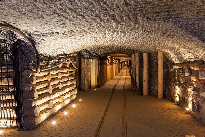 Full-Day Auschwitz-Birkenau and Salt Mine from Krakow - The Cost and Value