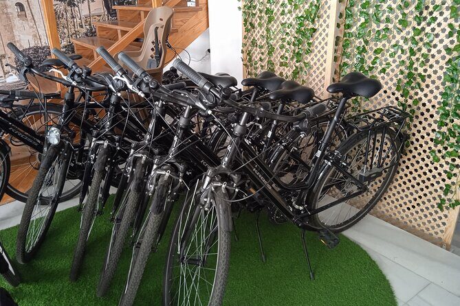 Full Day Bike Rental in Seville - Key Points