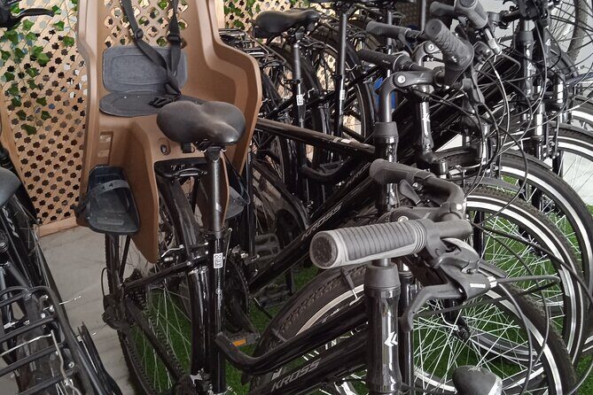 Full Day Bike Rental in Seville - A Closer Look at the Experience