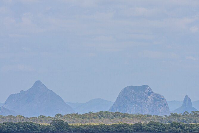 Full Day Birdlife Tour in Bribie Island - Final Thoughts