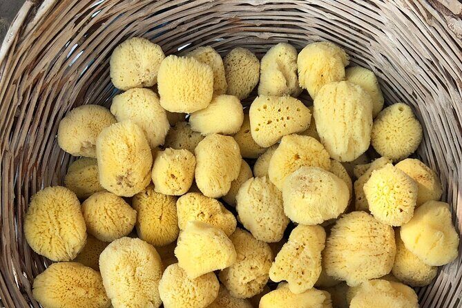 Full Day Boat Cruise to 3 Islands with optional pickup - The Dolphin Factor