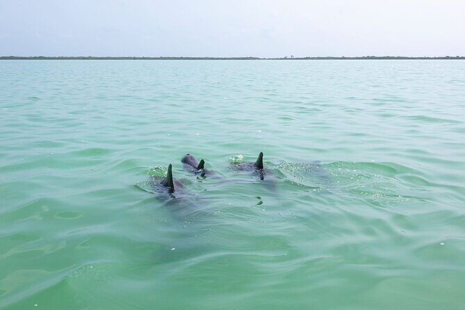 Full Day Boat Tour with Open Bar and Lunch in Riviera Maya - Frequently Asked Questions