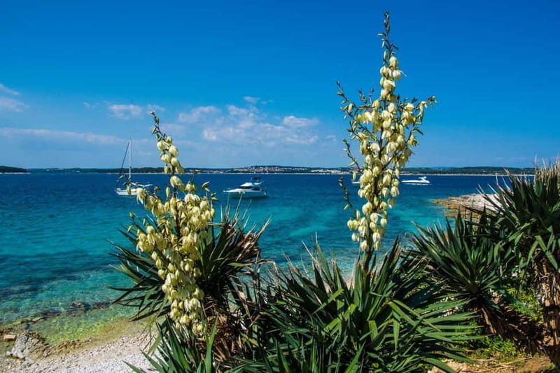 Full-Day Boat Trip, Cave Swim, lunch & Drinks - Medulin/Ceja - Setting Sail and Savoring the Views