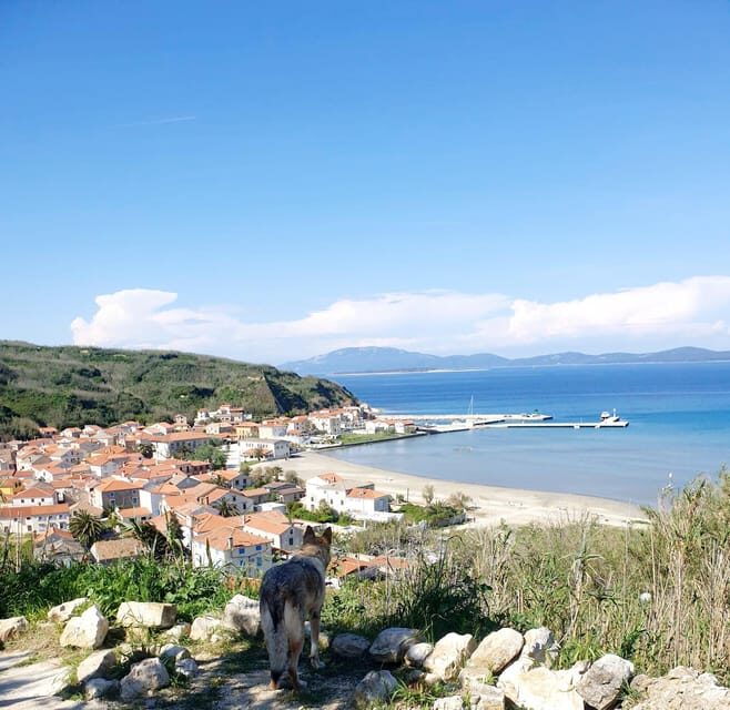 Full day boat-trip Medulin, blue Cave, Cres + dolphin search - Things to Keep in Mind