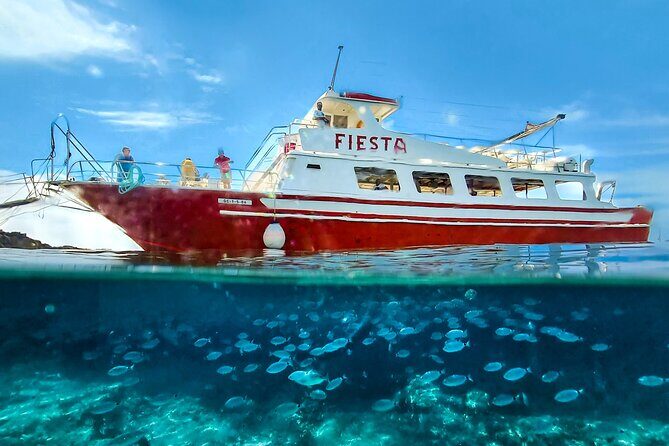 Full day boat trip with lunch - Group Size and Logistics