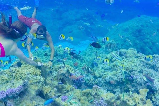 Full-Day Bora Bora Lagoon Cruise Including Snorkeling with Sharks and Stingrays - What to Expect on This Bora Bora Lagoon Tour