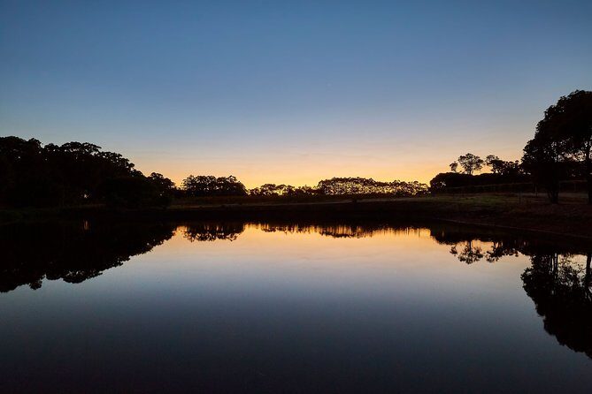 Full-Day Boutique Wine Tour with Pick Up and Lunch - Final Thoughts