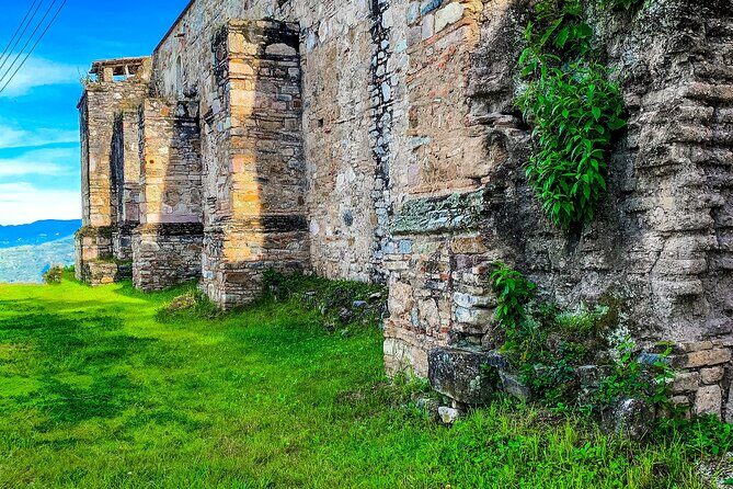 Full Day Bromeliad Forest Tour from Oaxaca - The Practicalities: Price, Duration, and How to Make It Work