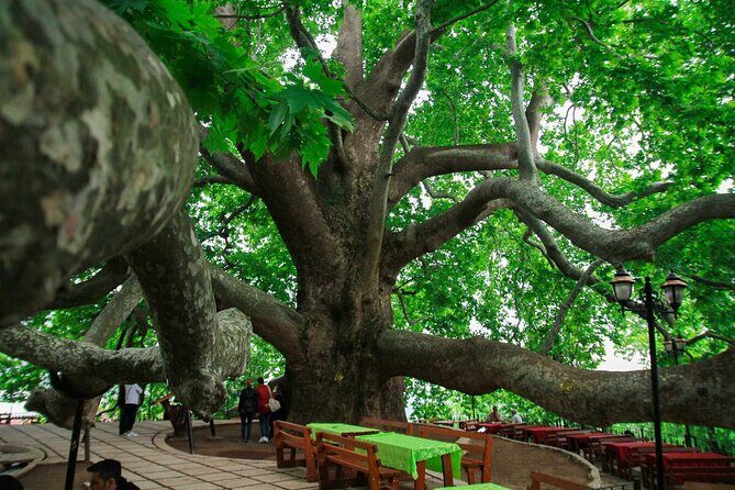 Full Day Bursa Tour from Istanbul(with cable car) - What to Expect from the Itinerary