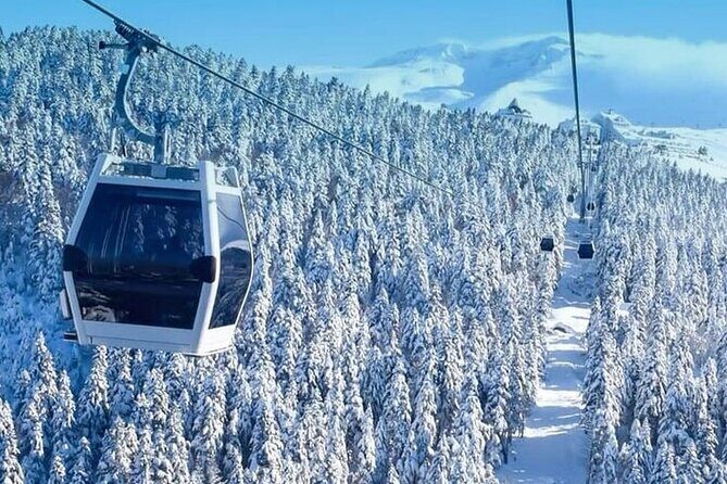 Full Day Bursa Tour from Istanbul(with cable car) - Who This Tour is Best For