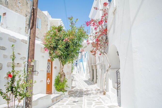 Full Day Bus Tour in Paros and Antiparos Islands from Paros - Naoussa: A Picturesque Fishing Village