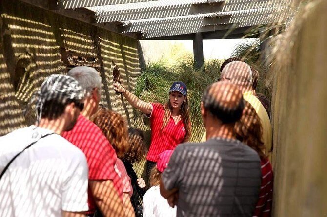 Full-Day Canadian Battlefields and sites Normandy Tour - What It Means for You