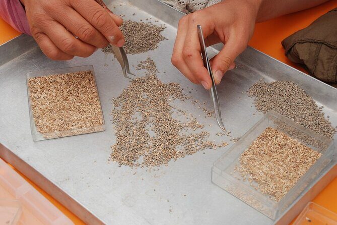 Full Day Cappadocia off the Beaten Track Private Guided Tour - What the Tour Includes and What to Expect