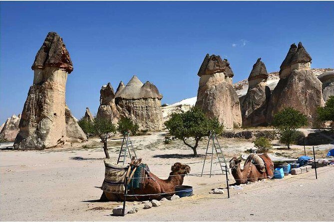 Full-Day Cappadocia Tour with Goreme Open Air Museum and Fairy Chimneys - Exploring the Day Tour: An In-Depth Look