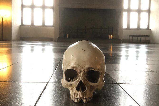 Full-Day; Castle, Palace, Cathedral & Viking ships Tour - An In-Depth Look at the Tour Experience