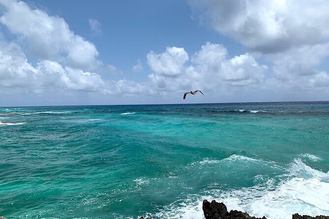 Full-Day Catamaran Cozumel Tour with Sky Snorkeling - The Catamaran Experience