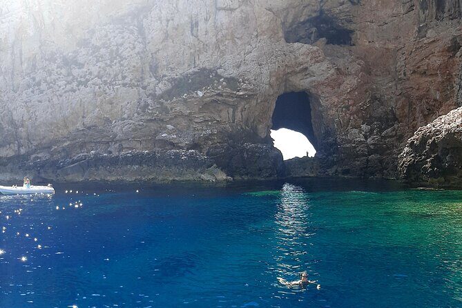 Full day catamaran tour in Alghero - Key Points