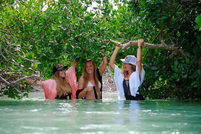 Full Day Charter Snorkeling Sandbar and Eco Safari Adventure - A Breakdown of the Itinerary