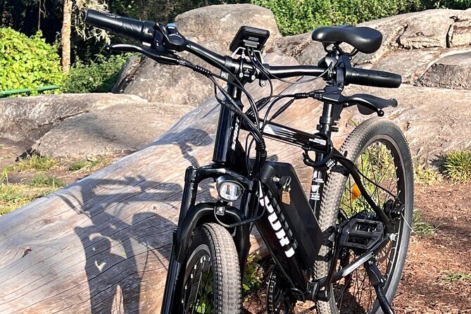 Full Day E-Bike Rental in San Francisco Charger Included! - Exploring San Francisco on an E-Bike