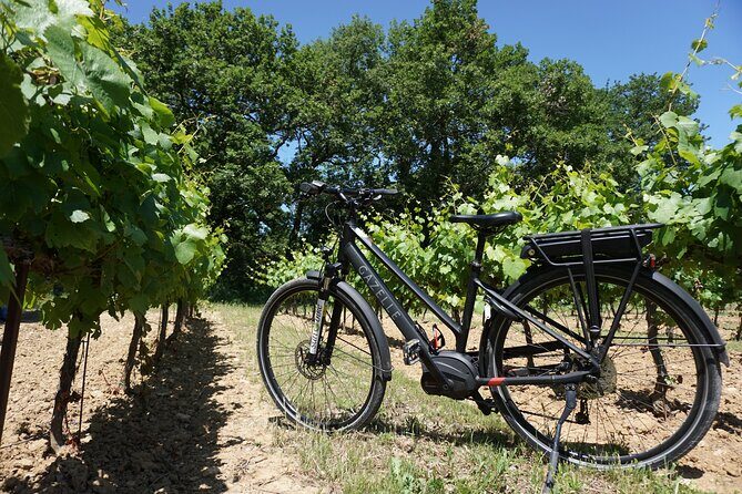 Full day E-Bike rental in the Luberon - An In-Depth Look at the E-Bike Experience