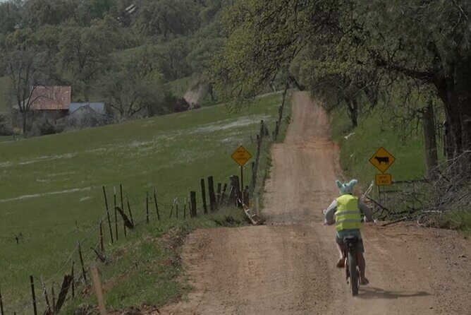 Full Day E-biking in the Sierra Foothills (Mariposa) - Key Points