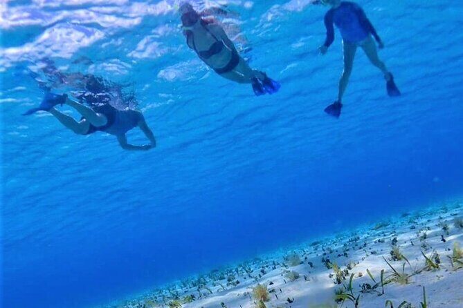 Full-Day El Cielo Snorkel Tour in Cozumel with Transportation and Lunch - Dive into the Experience: What to Expect from this Tour