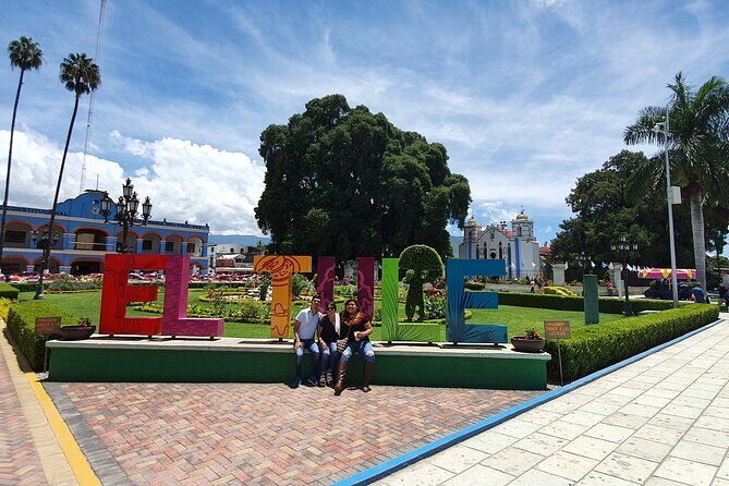Full-Day El Tule, Mitla & Hierve el Agua Tour from Oaxaca - What Past Travelers Say