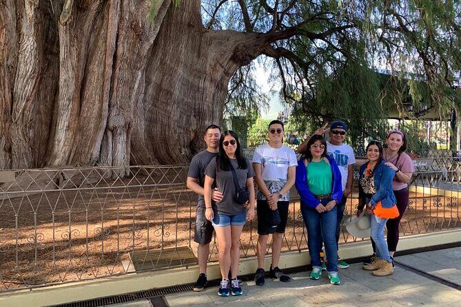 Full-Day El Tule, Mitla & Hierve el Agua Tour from Oaxaca - Final Thoughts: Who Should Consider This Tour?