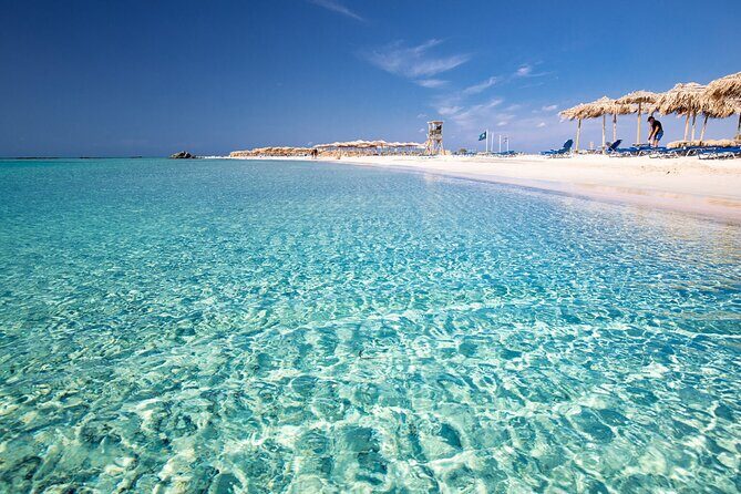 Full Day Elafonissi Beach & Honey Tour - Key Points