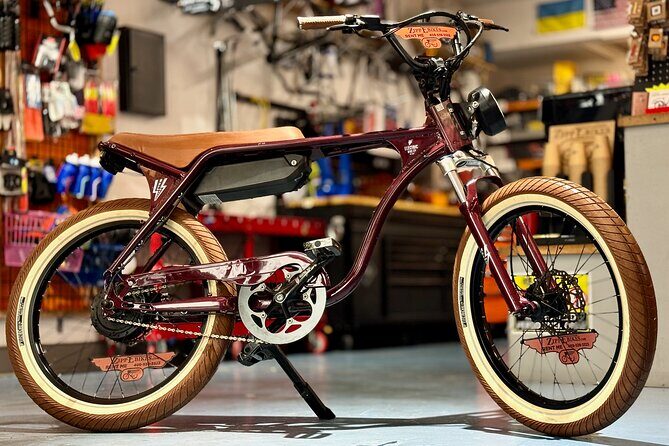 Full Day Electric Bike Rental in Galveston Texas - Breakdown of the Day