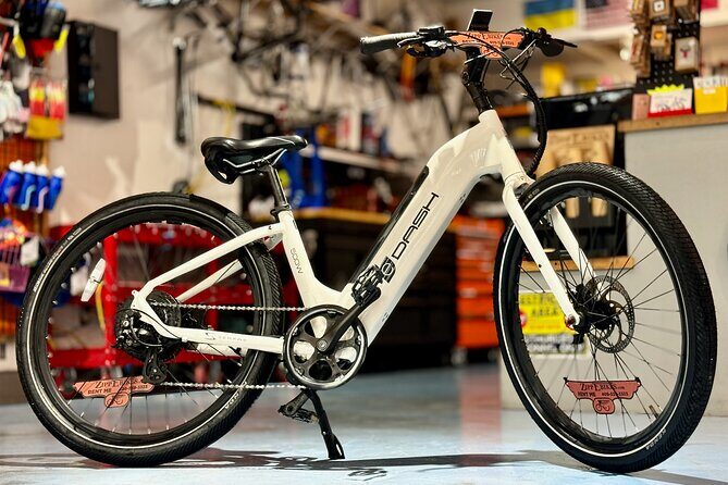 Full Day Electric Bike Rental in Galveston Texas - Who Is This Tour Perfect For?